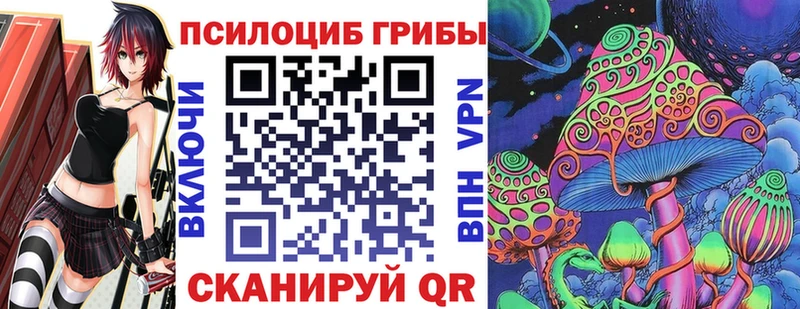 продажа наркотиков  Беслан  Псилоцибиновые грибы Psilocybine cubensis 
