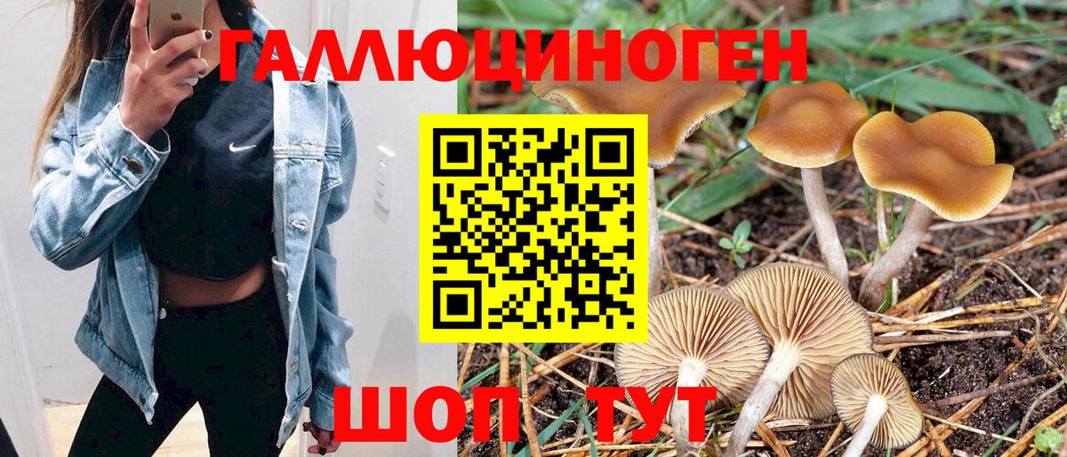 Беслан  Галлюциногенные грибы мухоморы  Вход с VPN 