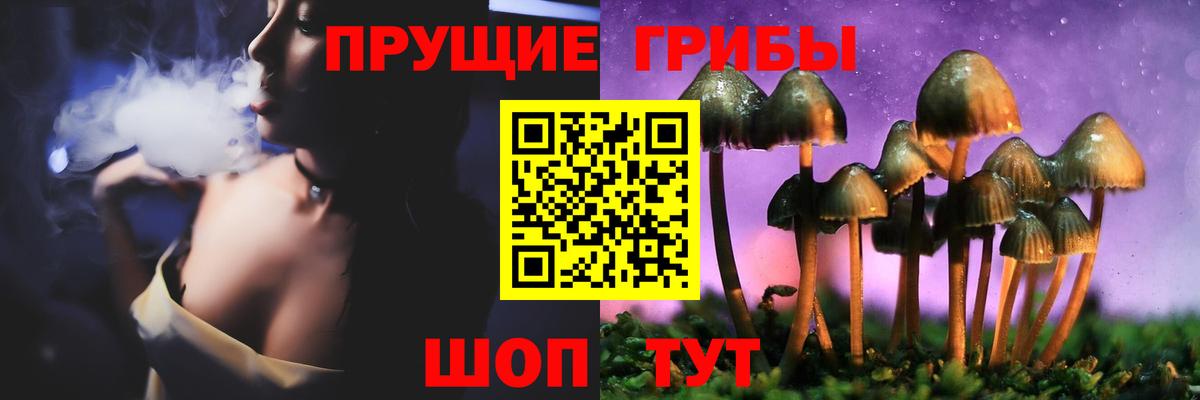 Псилоцибиновые грибы Cubensis  Беслан  Галлюциногенные грибы Psilocybine cubensis 